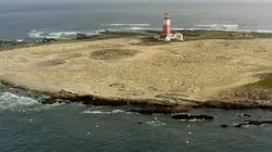 Les super-prédateurs des mers Chasses en territoire hostile
