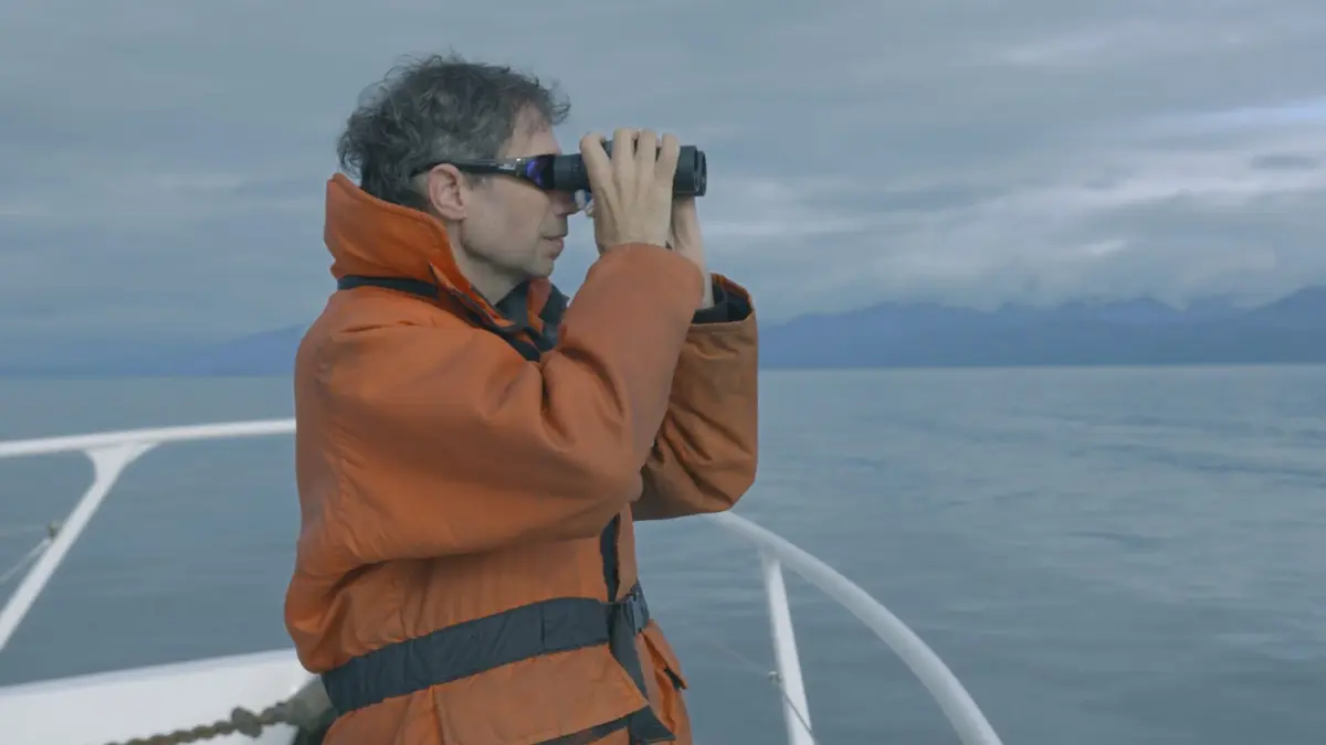 Visuel de Les super-prédateurs des mers