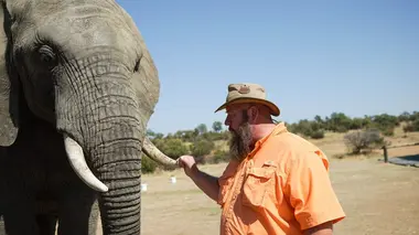 Pourquoi les hippocampes sont-ils presque invincibles ?
