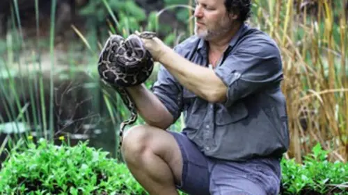 Les superpouvoirs des animaux E02 Chasseurs d'élite