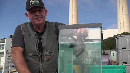 Casting Les superpouvoirs des animaux