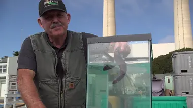 Vol en marche arrière et monstres aquatiques