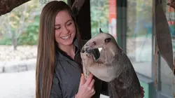 Sur TLC à 22h40 : Les superpouvoirs des animaux