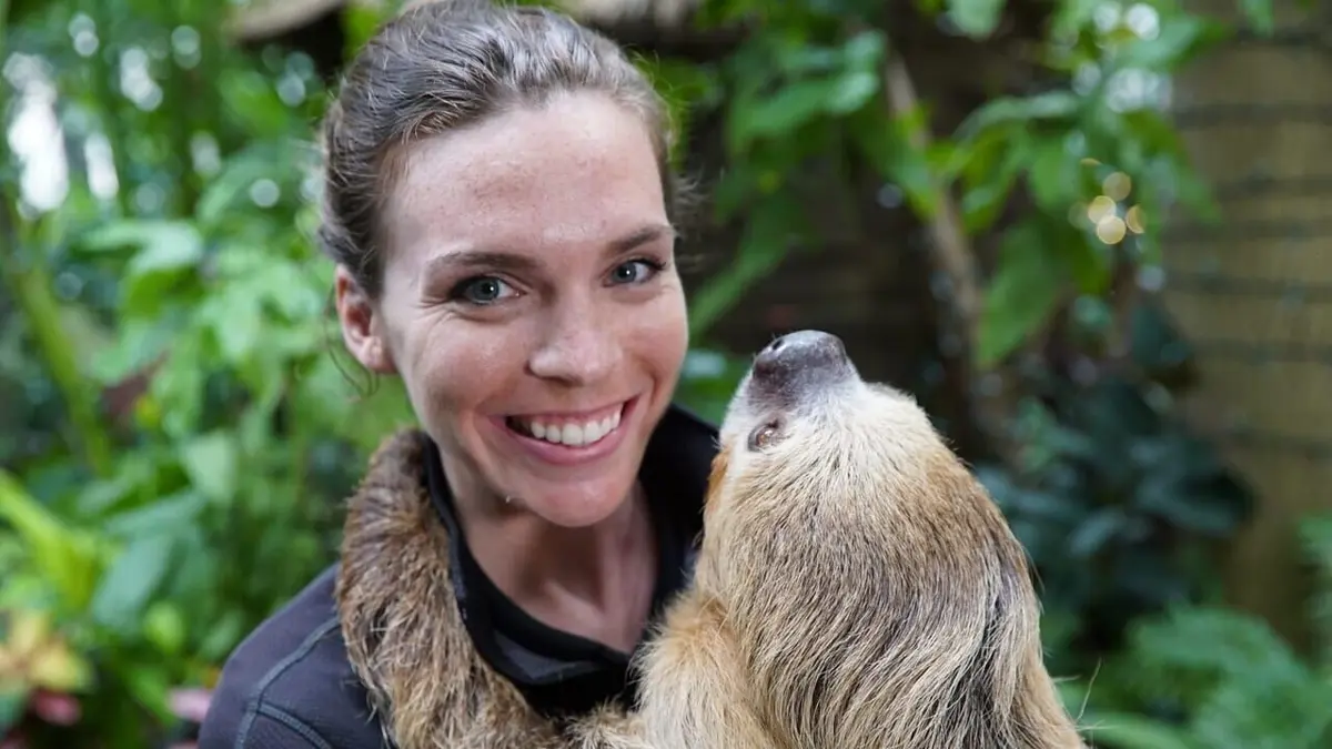 Les superpouvoirs des animaux Super paresseux et marathons d'autruches