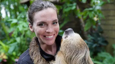 Super paresseux et marathons d'autruches