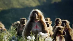 Les superpouvoirs des plantes