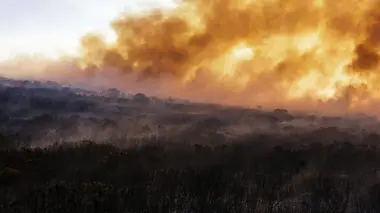 Au rythme des saisons