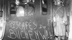 Visuel de Les Survivants