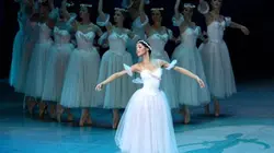 Visuel de Les Sylphides