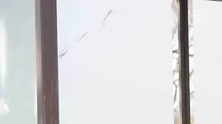 Les têtes de l'emploi