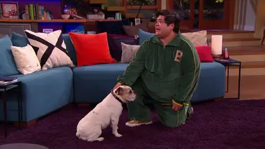 Les Thunderman S03E18 Une journée de chien