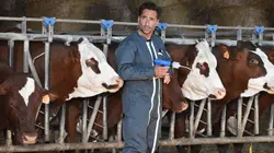 Les Touristes: Mission agriculteurs