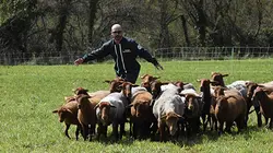 Les Touristes : Mission agriculteurs - La suite