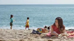 Les tournesols sauvages