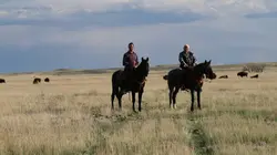 Les trains de l'extrême