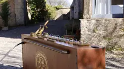 Les traîtres S03E06