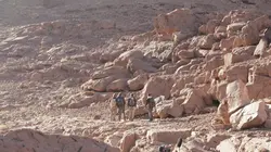Les trésors cachés d'Arabie Saoudite : L'ancienne cité de Dadan