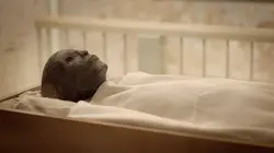 Les trésors cachés de Toutankhamon