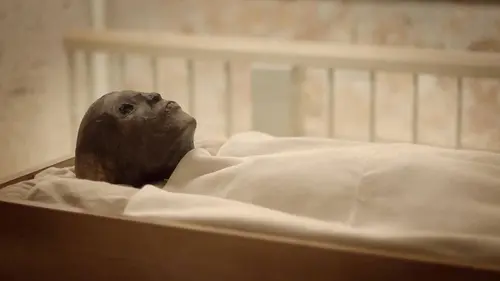 Les trésors cachés de Toutankhamon