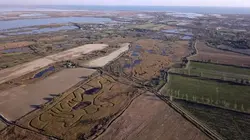 Les trésors cachés des marais