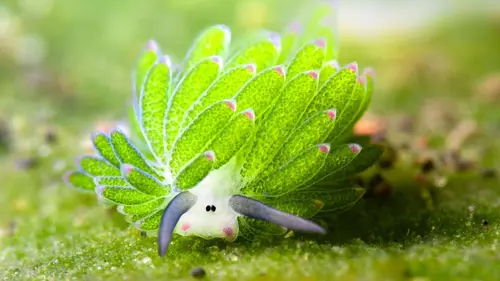 Les trésors de l'océan Limace de mer mortelle