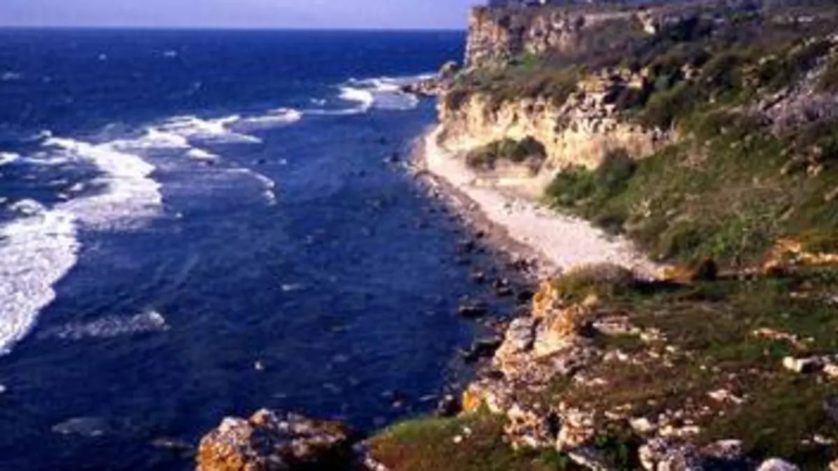 Les trésors de la Baltique