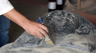 Les secrets du méga-tombeau