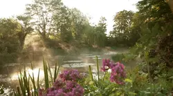 Les trésors des jardins français