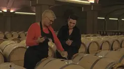 Sur France 4 à 21h00 : Les trésors des vignobles français