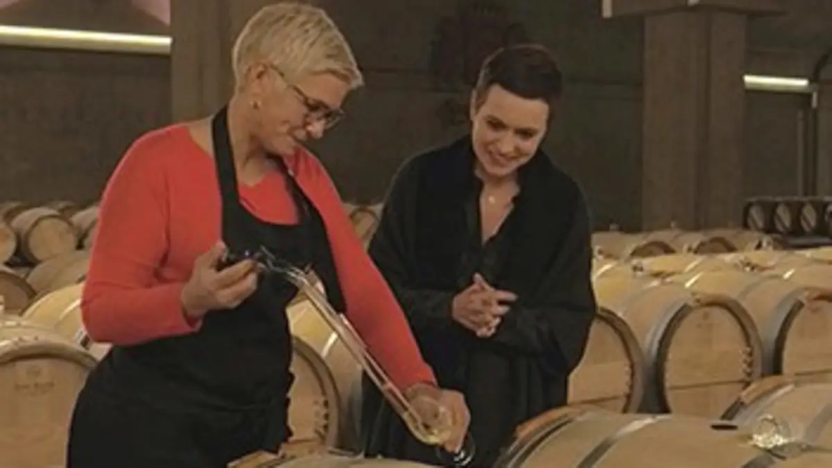 Les trésors des vignobles français
