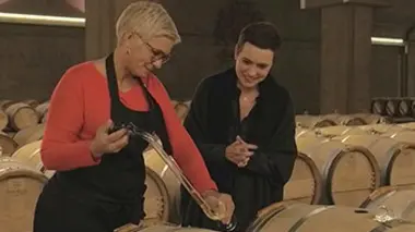 Les trésors des vignobles français