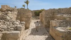 Visuel de Les Trésors perdus de la Bible