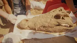 Les trésors perdus de la Vallée des Rois La face cachée du grand Sphinx