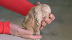 Les trésors perdus de la Vallée des Rois Alexandre le Grand