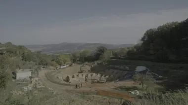 Armes de guerre et propagande