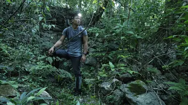 Les mystères de la cité disparue