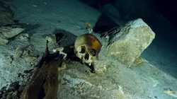 Les trésors perdus des Mayas