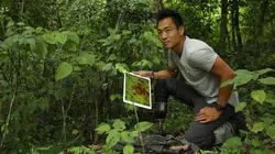 Les trésors perdus des Mayas