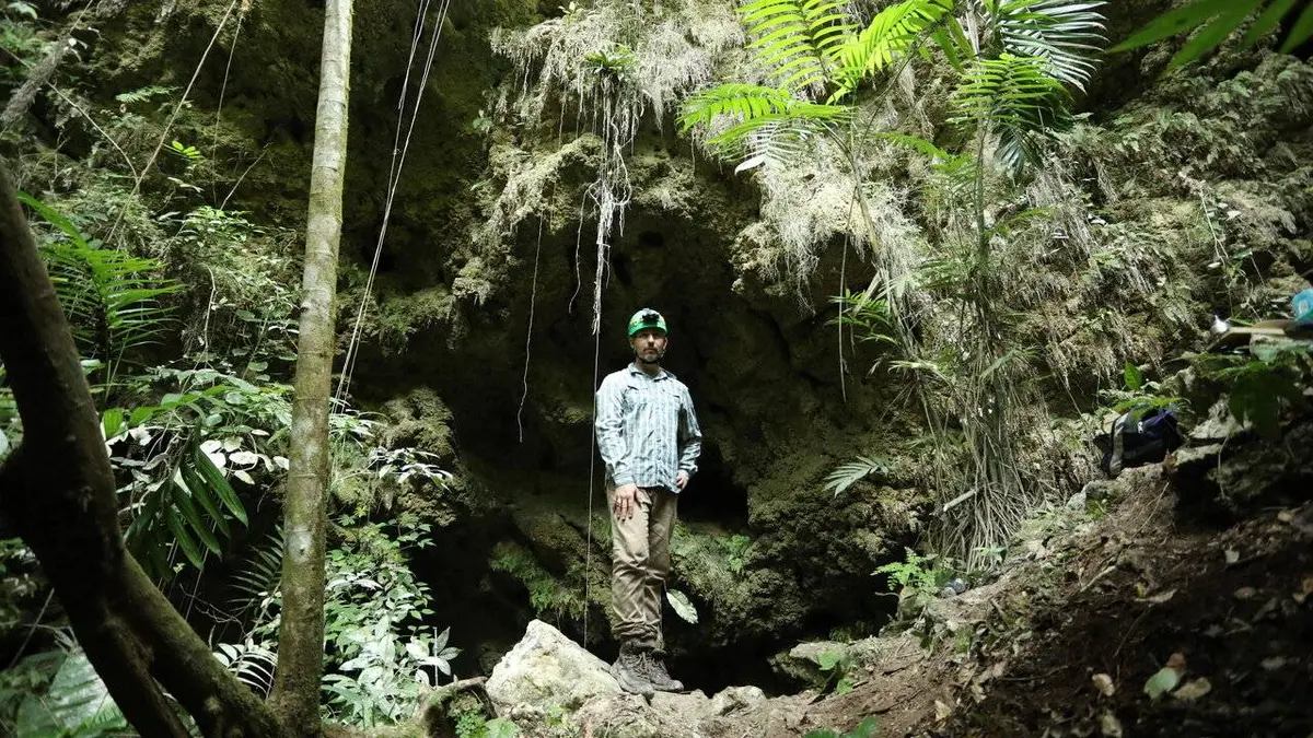 Les trésors perdus des Mayas