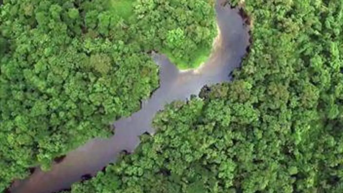 Les trois Guyane E02 Guyana : la terre des eaux abondantes
