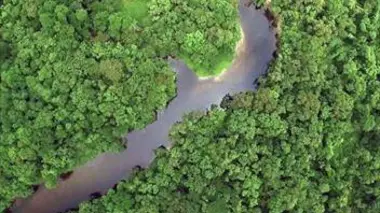 Guyana : la terre des eaux abondantes