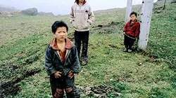 Les trois soeurs du Yunnan en streaming