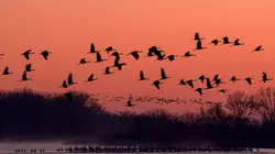 Les USA sauvages en quatre saisons