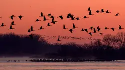 Les USA sauvages en quatre saisons