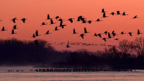 Les USA sauvages en quatre saisons S01E01 Printemps