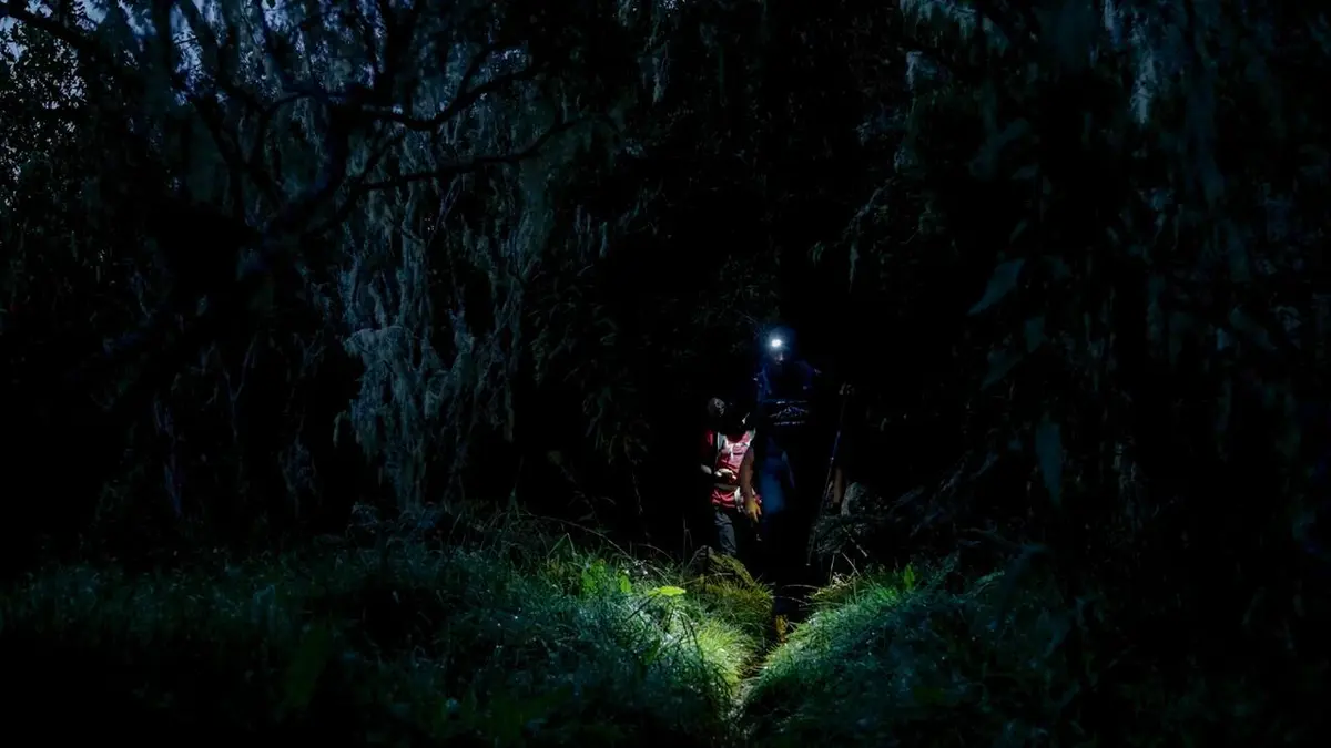 Les vertiges de la liberté