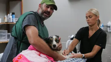 De vrais tourtereaux