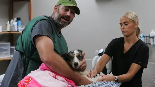 Épisodes de Les Vétérinaires du Midwest