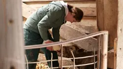 Visuel de Les Vétérinaires du Midwest