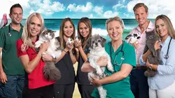 Les vétos de Bondi Beach